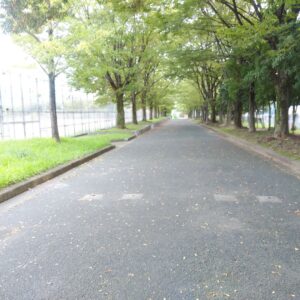 勧修寺公園